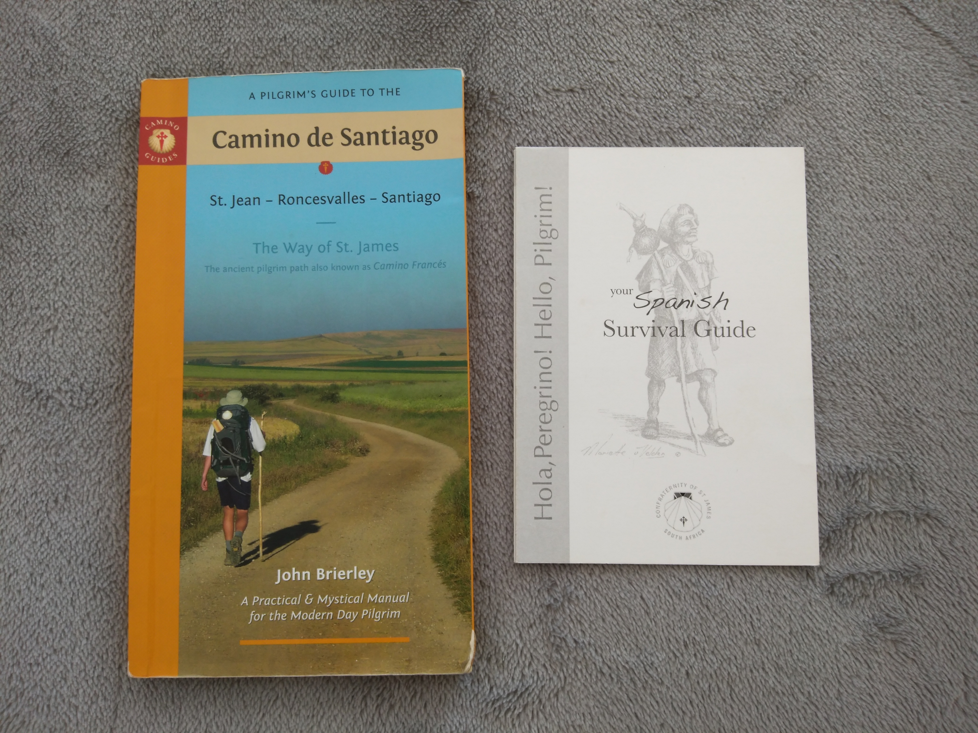 Camino Frances Guidebook