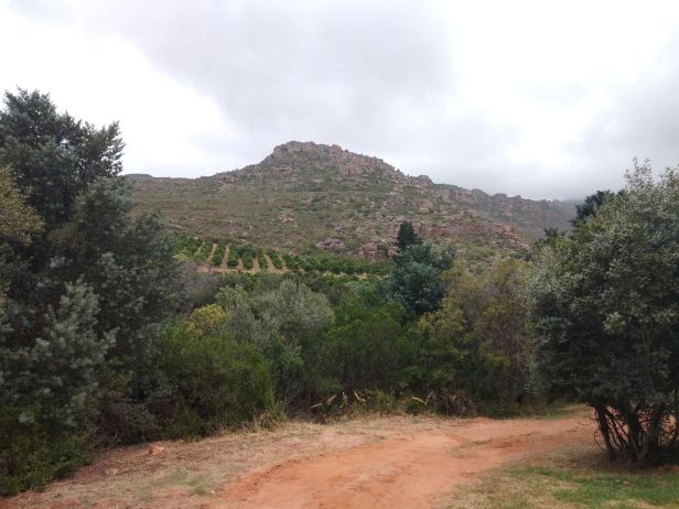  Koningskop, Citrusdal – Camping (South Africa) – Wet and Dusty Roads Motiv 