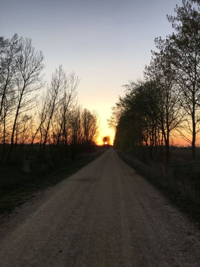 Leon (4) - Terradillos