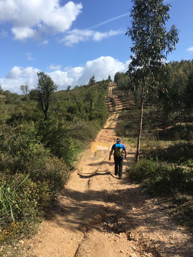 P Camino - 13 (Tomar) (Medium)