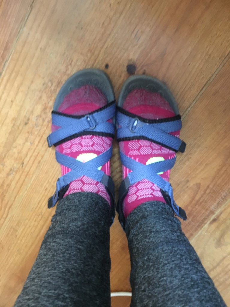 P Camino (55) - Porto (a) (Medium)