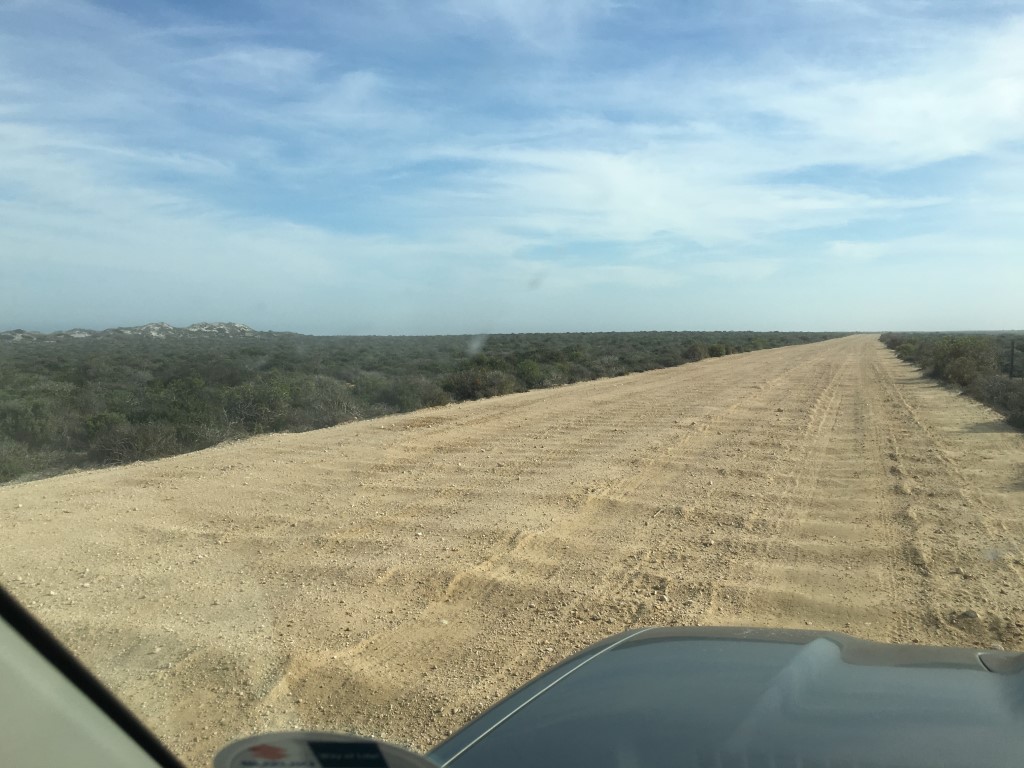 Throwback Thursday #29 – Wet and Dusty Roads