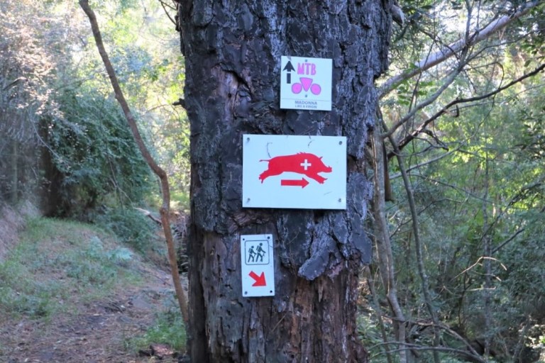 Hogsback – Big Tree and Waterfall (South Africa) – Wet and Dusty Roads