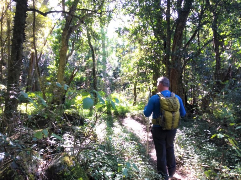 Hogsback – Big Tree and Waterfall (South Africa) – Wet and Dusty Roads