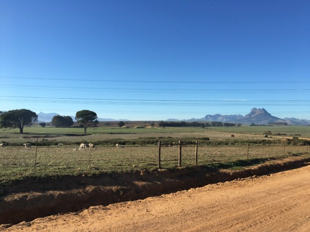 Throwback Thursday #45 – Wet and Dusty Roads